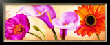 Buy Danse de Fleurs II at AllPosters.com