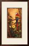 Exotic Birds II