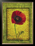 Buy Poppy at AllPosters.com