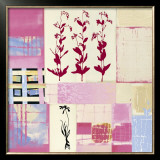 Buy Myosotis at AllPosters.com
