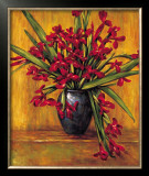 Buy Red Irises at AllPosters.com
