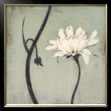 Ivory Blossom