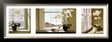 Orchid Tryptych