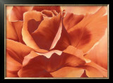 Buy Full in Bloom II at AllPosters.com