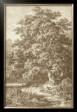 Buy Sepia Oak Tree at AllPosters.com