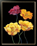 Buy Midnight Bloom I at AllPosters.com