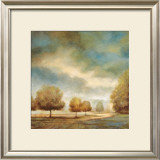 Buy Light and Shadows I at AllPosters.com