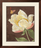 Garden Peony II