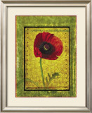 Buy Poppy at AllPosters.com