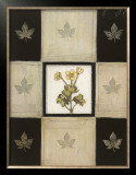 Buy Maria's Bloom I at AllPosters.com