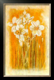 Narcisses II