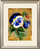Pansy