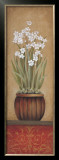 Paperwhites I