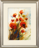 Buy Mohn at AllPosters.com