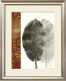 Buy Leaf Study I at AllPosters.com