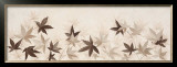 Buy Fly of Leaves I at AllPosters.com