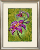 Lily