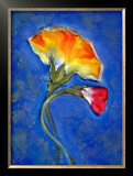 Buy Carnation at AllPosters.com