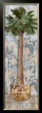 Maui Palm II