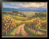 Vineyard Hill I