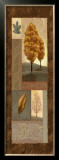 Buy Mandarin Elements I at AllPosters.com