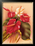 Buy Red and White Anthuriums at AllPosters.com