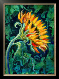 Buy Sunflower at AllPosters.com