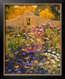 Adobe Compound Garden