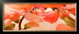 Buy Sweet Peas I at AllPosters.com