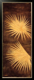 Buy Fan Palm Triptych I at AllPosters.com