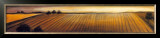 Buy Low Horizons II at AllPosters.com