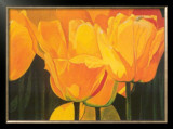 Buy Golden Ocean at AllPosters.com