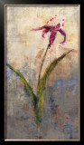 Buy Not Forgotten I at AllPosters.com