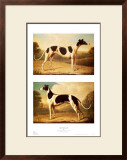 Buy Two Greyhounds at AllPosters.com