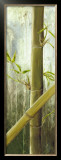 Buy Rainforest I at AllPosters.com