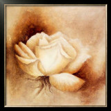 White Rose I