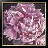 Buy Peony I at AllPosters.com