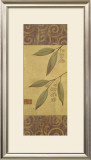 Buy Eucalyptus Leaves II at AllPosters.com