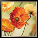 Buy Champs de Coquelicots II at AllPosters.com