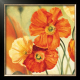 Buy Champs de Coquelicots I at AllPosters.com