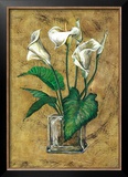 Flores Blancas II