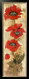 Strand of Poppies II