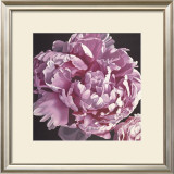 Buy Peony I at AllPosters.com