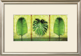 Buy The Tropics at AllPosters.com