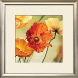 Buy Champs de Coquelicots II at AllPosters.com