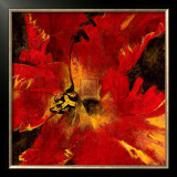 Buy Rosso Fiore II at AllPosters.com