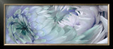 Buy Dahlias VI at AllPosters.com