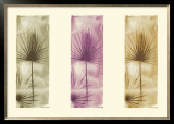 Buy Multi-Colored Palms, Green and Purple at AllPosters.com