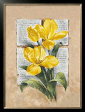 Buy Tulip Poetry at AllPosters.com