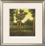 Buy Through the Trees II at AllPosters.com